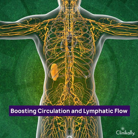 Boosting Circulation and Lymphatic Flow