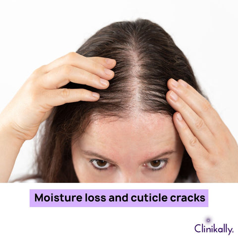 Moisture loss and cuticle cracks