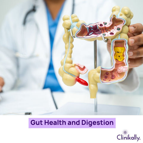 Gut Health and Digestion