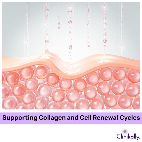 Supporting Collagen and Cell Renewal Cycles