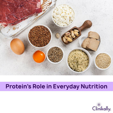 Protein’s Role in Everyday Nutrition