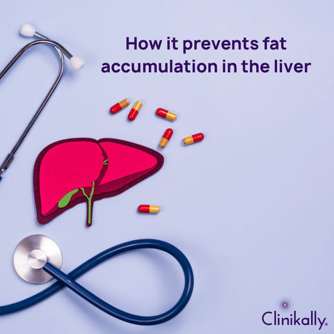 How it prevents fat accumulation in the liver