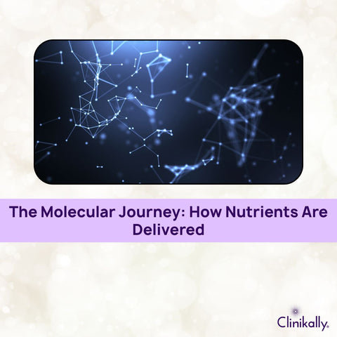 The Molecular Journey: How Nutrients Are Delivered