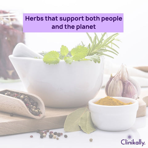 Herbs that support both people and the planet