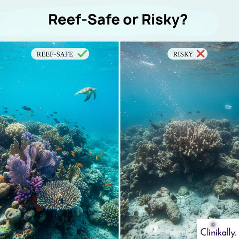 Reef-Safe or Risky? The Truth About Hybrid Sunscreens