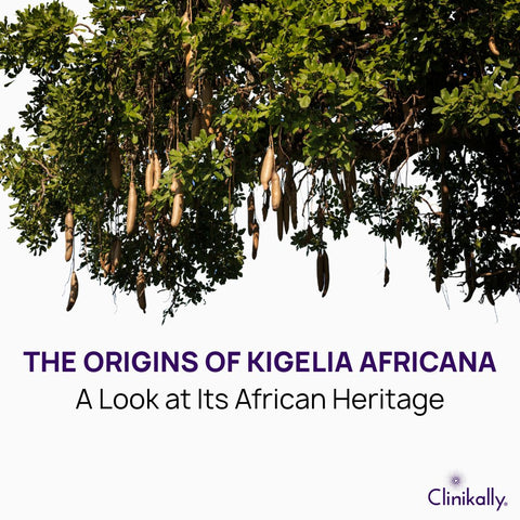 The Origins of Kigelia Africana: A Look at Its African Heritage