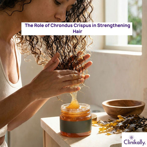 The Role of Chrondus Crispus in Strengthening Hair
