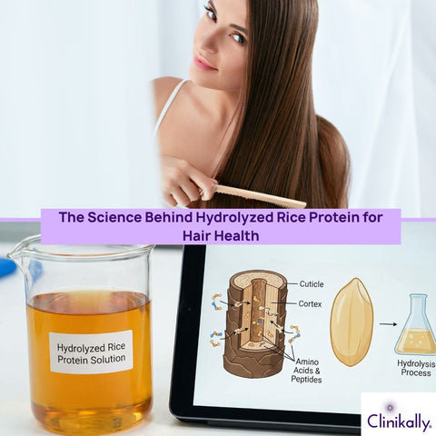 The Science Behind Hydrolyzed Rice Protein for Hair Health