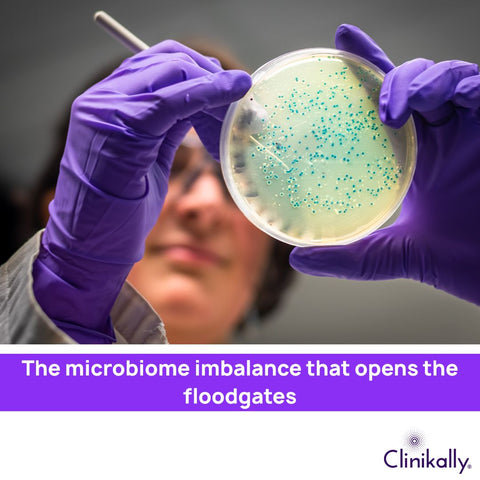 The microbiome imbalance that opens the floodgates