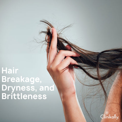 Hair Breakage, Dryness, and Brittleness