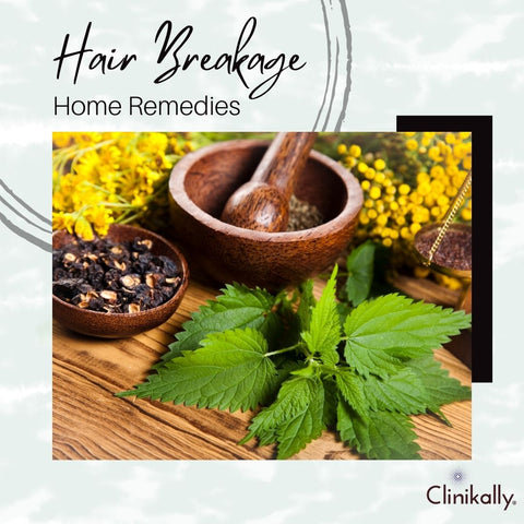 Hair Breakage Home Remedies