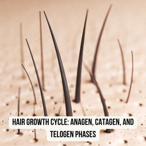 Hair Growth Cycle: Anagen, Catagen, and Telogen Phases
