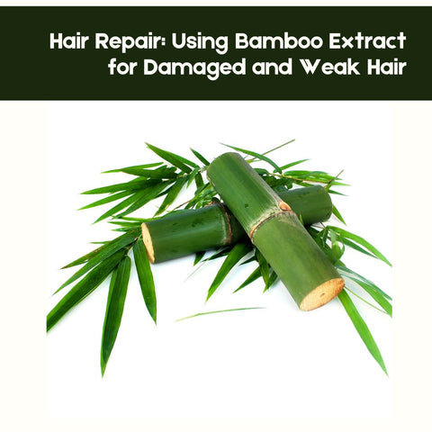 Hair Repair: Using Bamboo Extract for Damaged and Weak Hair