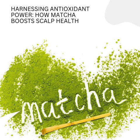 Harnessing Antioxidant Power: How Matcha Boosts Scalp Health