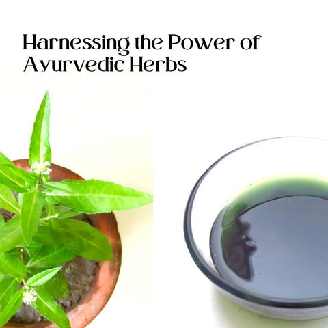 Harnessing the Power of Ayurvedic Herbs