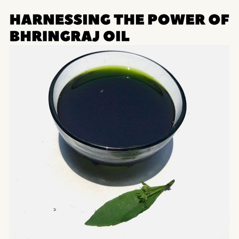 Harnessing the Power of Bhringraj Oil