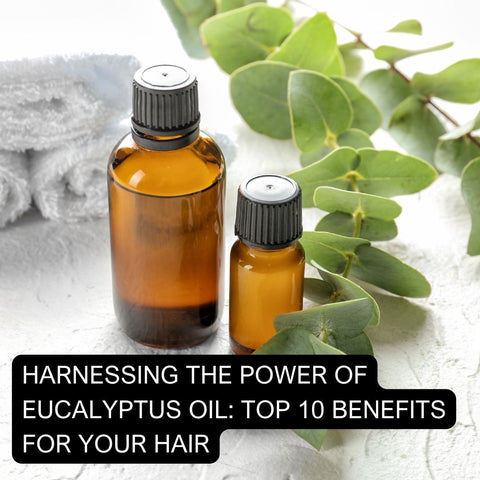 Harnessing the Power of Eucalyptus Oil: Top 10 Benefits for Your Hair