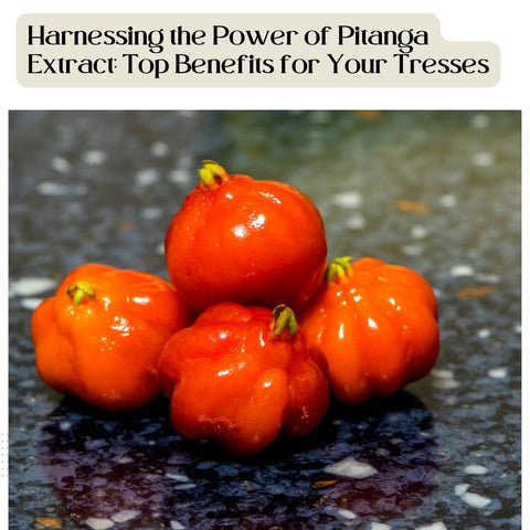 Harnessing the Power of Pitanga Extract: Top Benefits for Your Tresses
