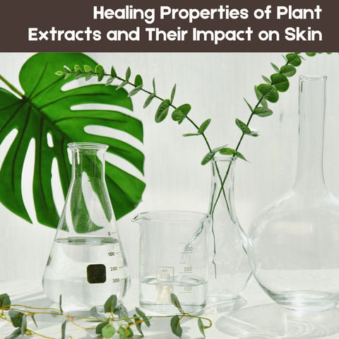 Healing Properties of Plant Extracts and Their Impact on Skin