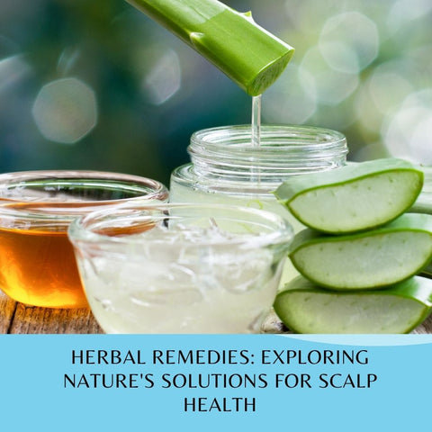 Herbal Remedies: Exploring Nature's Solutions for Scalp Health