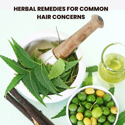 Herbal Remedies for Common Hair Concerns