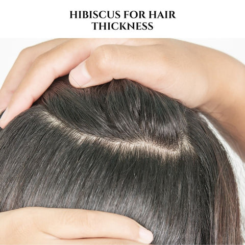 Hibiscus for Hair Thickness
