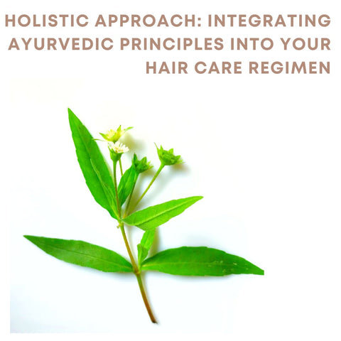 Holistic Approach: Integrating Ayurvedic Principles Into Your Hair Care Regimen
