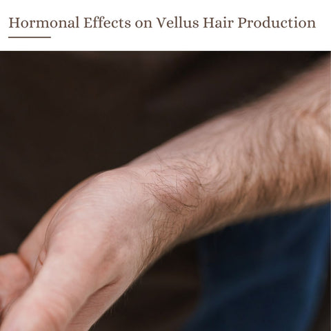 Hormonal Effects on Vellus Hair Production