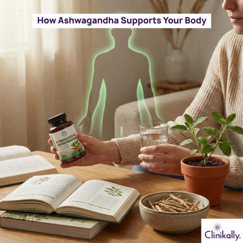 How Ashwagandha Works in the Body