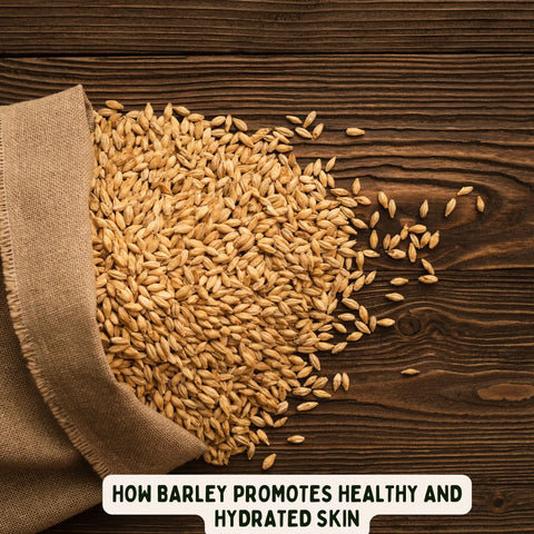 How Barley Promotes Healthy and Hydrated Skin