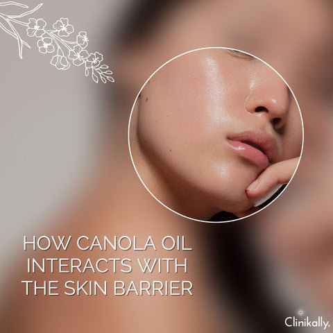 How Canola Oil Interacts with the Skin Barrier