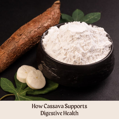 How Cassava Supports Digestive Health
