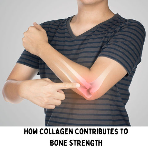 How Collagen Contributes to Bone Strength