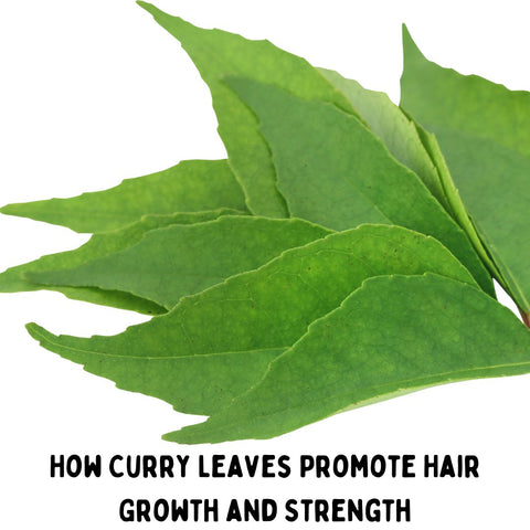 How Curry Leaves Promote Hair Growth and Strength