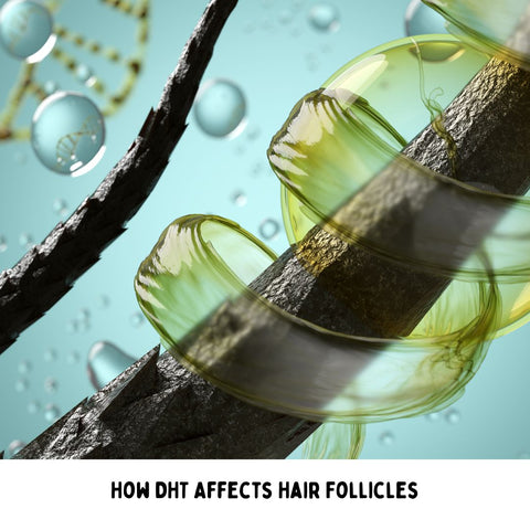 How DHT Affects Hair Follicles