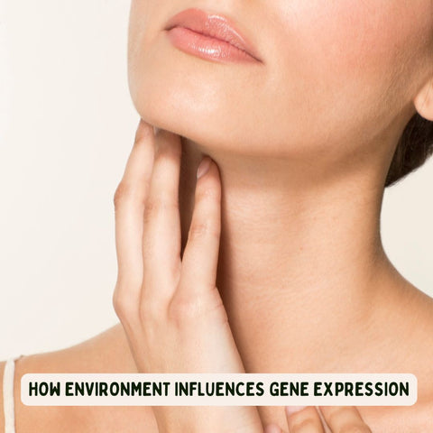 How Environment Influences Gene Expression