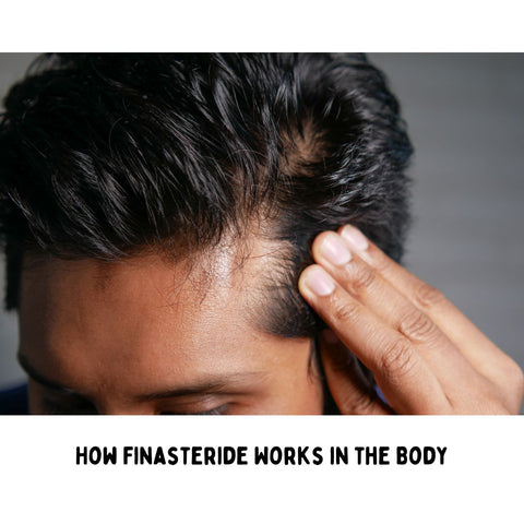 How Finasteride Works in the Body