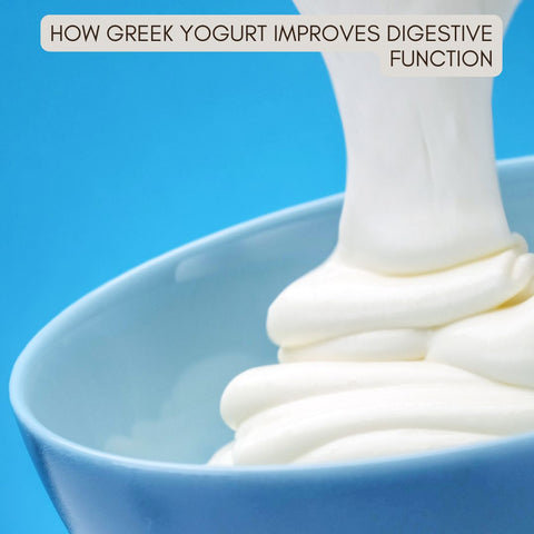 How Greek Yogurt Improves Digestive Function