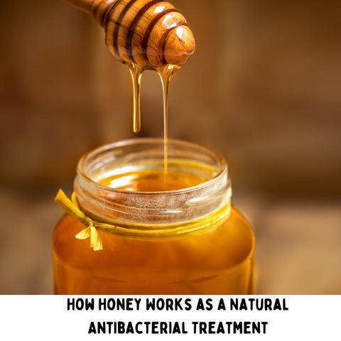How Honey Works as a Natural Antibacterial Treatment