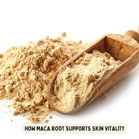 How Maca Root Supports Skin Vitality