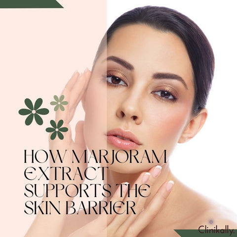 How Marjoram Extract Supports the Skin Barrier
