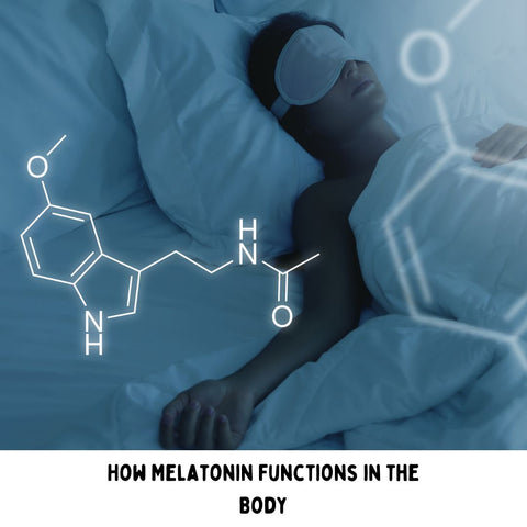 How Melatonin Functions in the Body