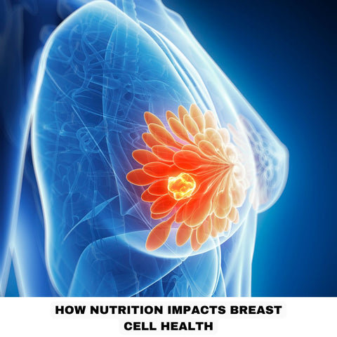 How Nutrition Impacts Breast Cell Health