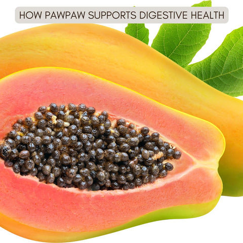 How Pawpaw Supports Digestive Health