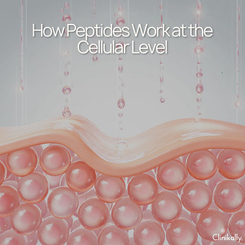 How Peptides Work at the Cellular Level