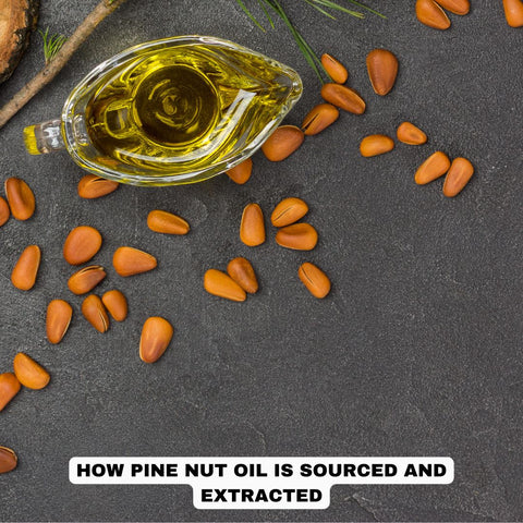 How Pine Nut Oil is Sourced and Extracted