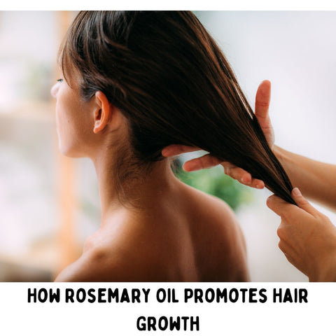 How Rosemary Oil Promotes Hair Growth