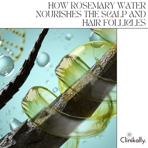 How Rosemary Water Nourishes the Scalp and Hair Follicles