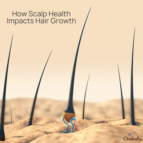 How Scalp Health Impacts Hair Growth