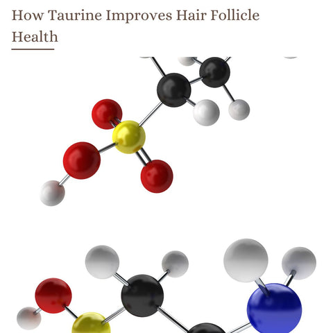 How Taurine Improves Hair Follicle Health